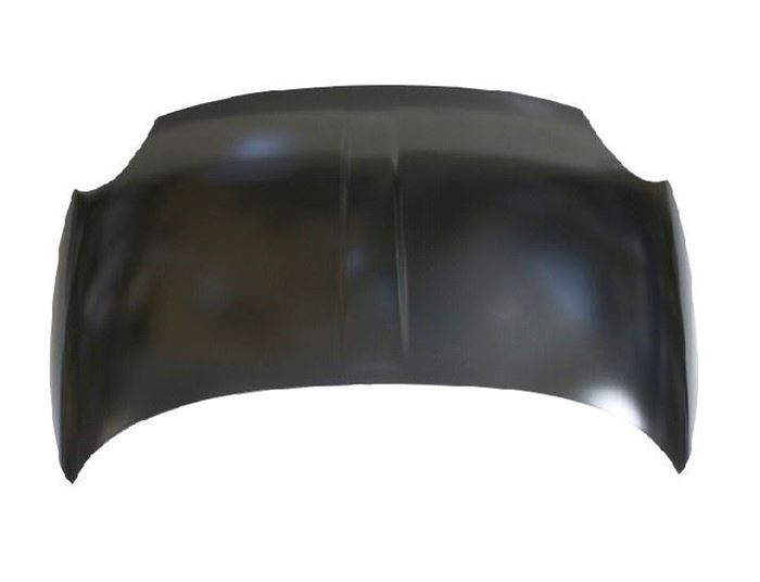 MOTOR KAPUTU 500 2007- resmi