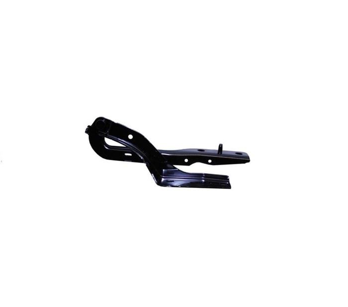 MOTOR KAPUT MENTEŞESİ SAĞ PG 307 2001- resmi