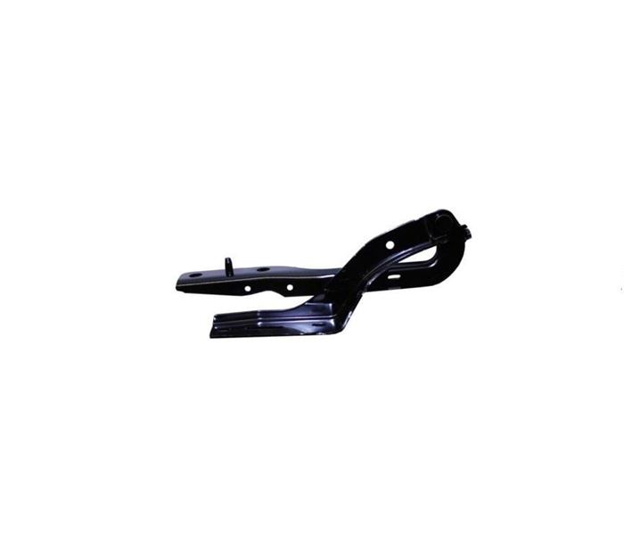 MOTOR KAPUT MENTEŞESİ SOL PG 307 2001- resmi