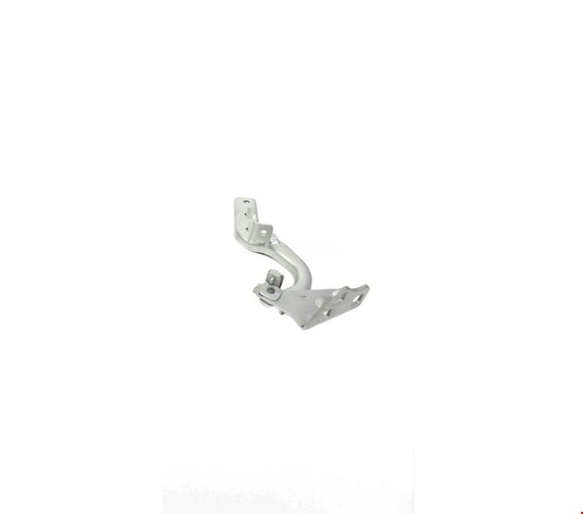 MOTOR KAPUT MENTEŞESİ SAĞ VİTO W447 2014- resmi