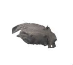 ÖN ÇAM.DAVLUMBAZI SAĞ ( ARKA- HALI ) F10 2010- resmi