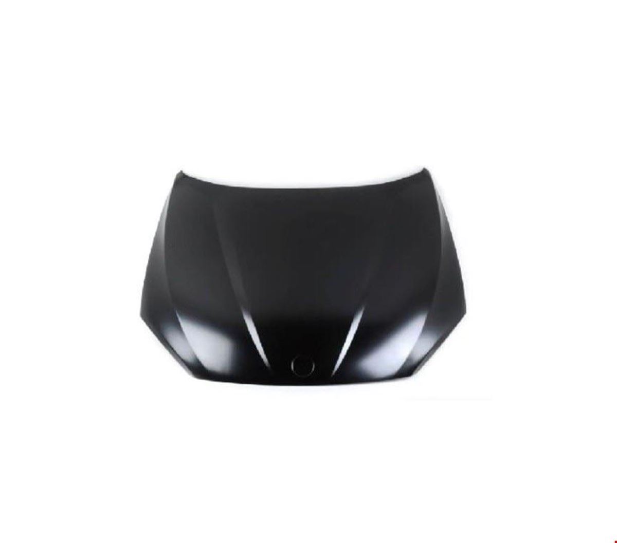 MOTOR KAPUTU (TYG) E84 X1 2009- resmi