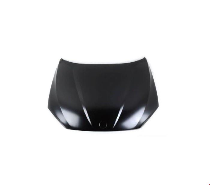 MOTOR KAPUTU (TYG) E84 X1 2009- resmi