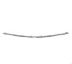 ÖN TAMPON ALT KROM ÇITA (AMG) W177 W118 2020- resmi